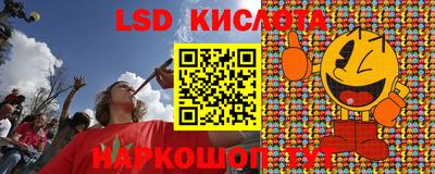 прущие грибы Шелехов