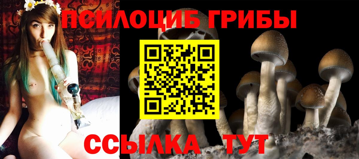 Псилоцибиновые грибы GOLDEN TEACHER Солнечногорск